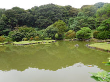 萩の花