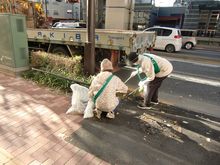 �G���������I�A