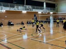 �i�C�X���V�[�u